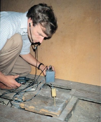 Building pathologist using microphone to detect woodworm